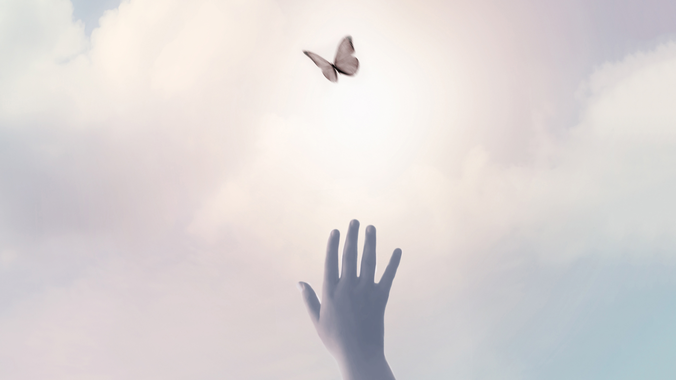 Hand reaching upward toward a butterfly in a pale sky